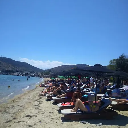 Apostolia Lux * Volos