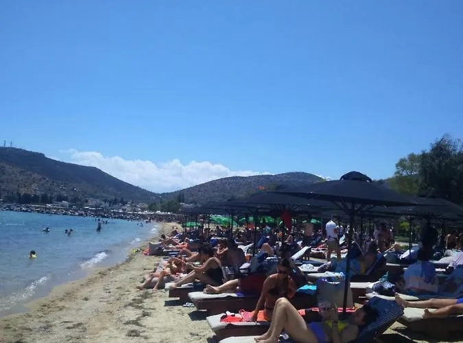 Apostolia Lux * Волос